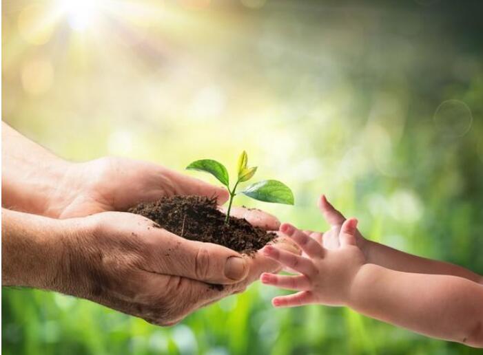 1678576556209191.jpg 01.jpg