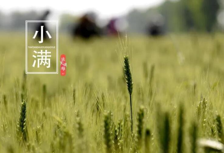 1684625454163942.jpg 2.jpg